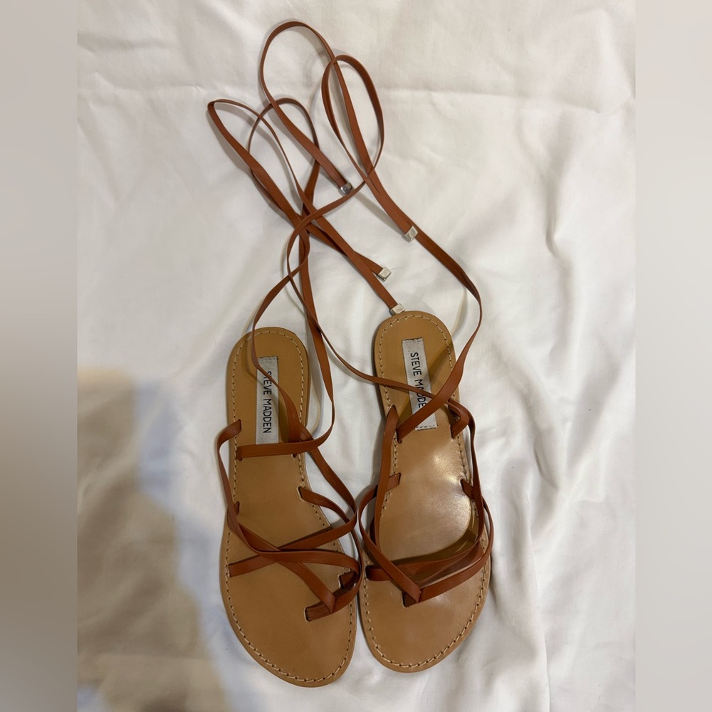 Steve Madden gladiator sandals